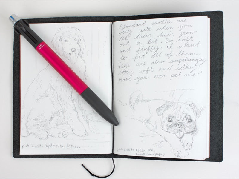 Passport 003 Blank Notebook Refill