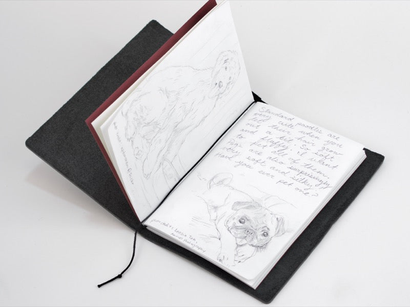 Passport 003 Blank Notebook Refill