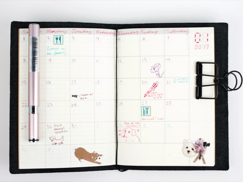 Passport 006 Free Diary Monthly