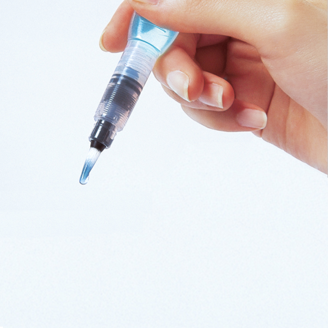 Pentel Vistage Water Brush