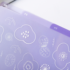 Sweet Life Clear Folder With Dividers - A4