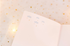 100 Days Bucket List Journal