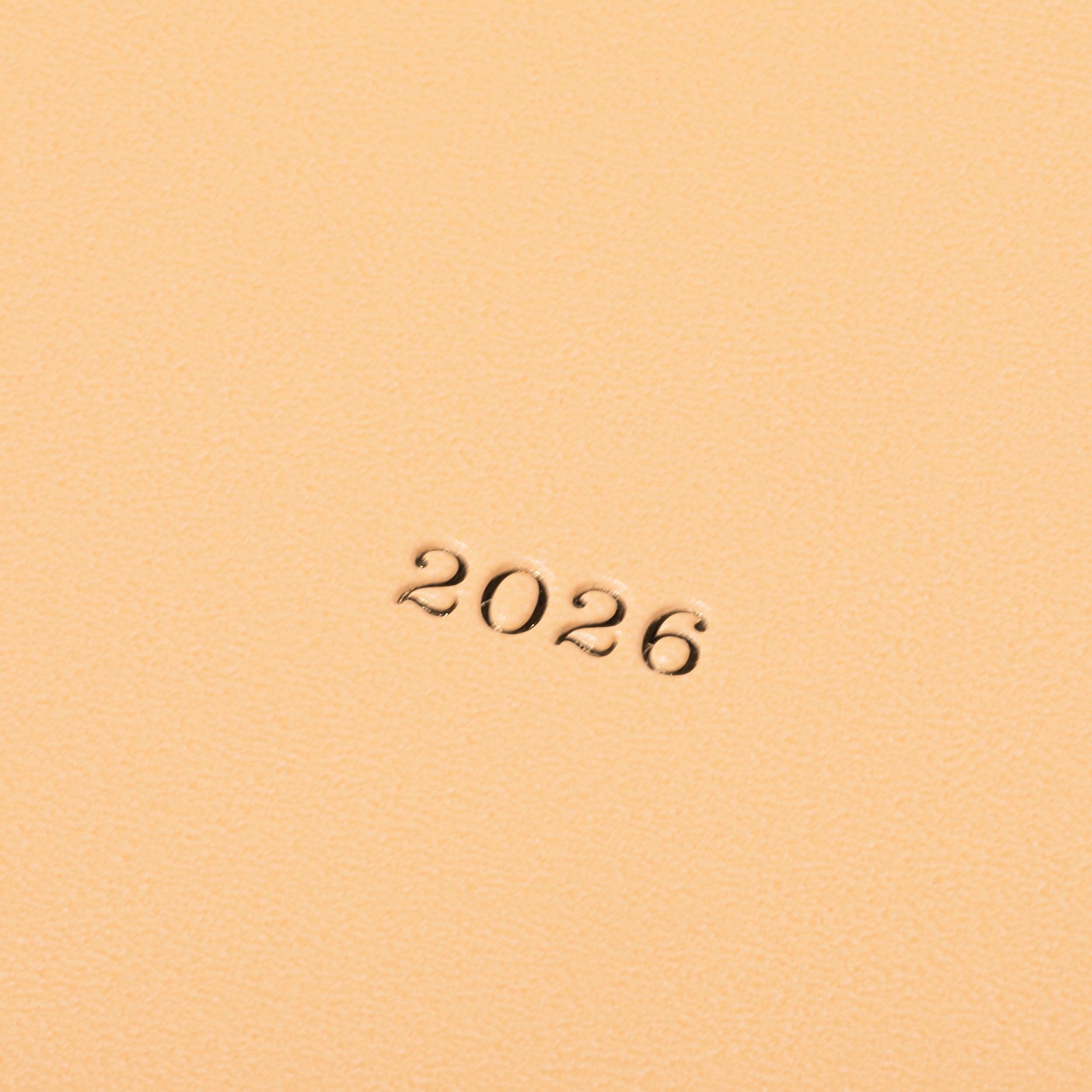 Mark's Inc. EdiT One Page Per Day Nuance 2026 B6