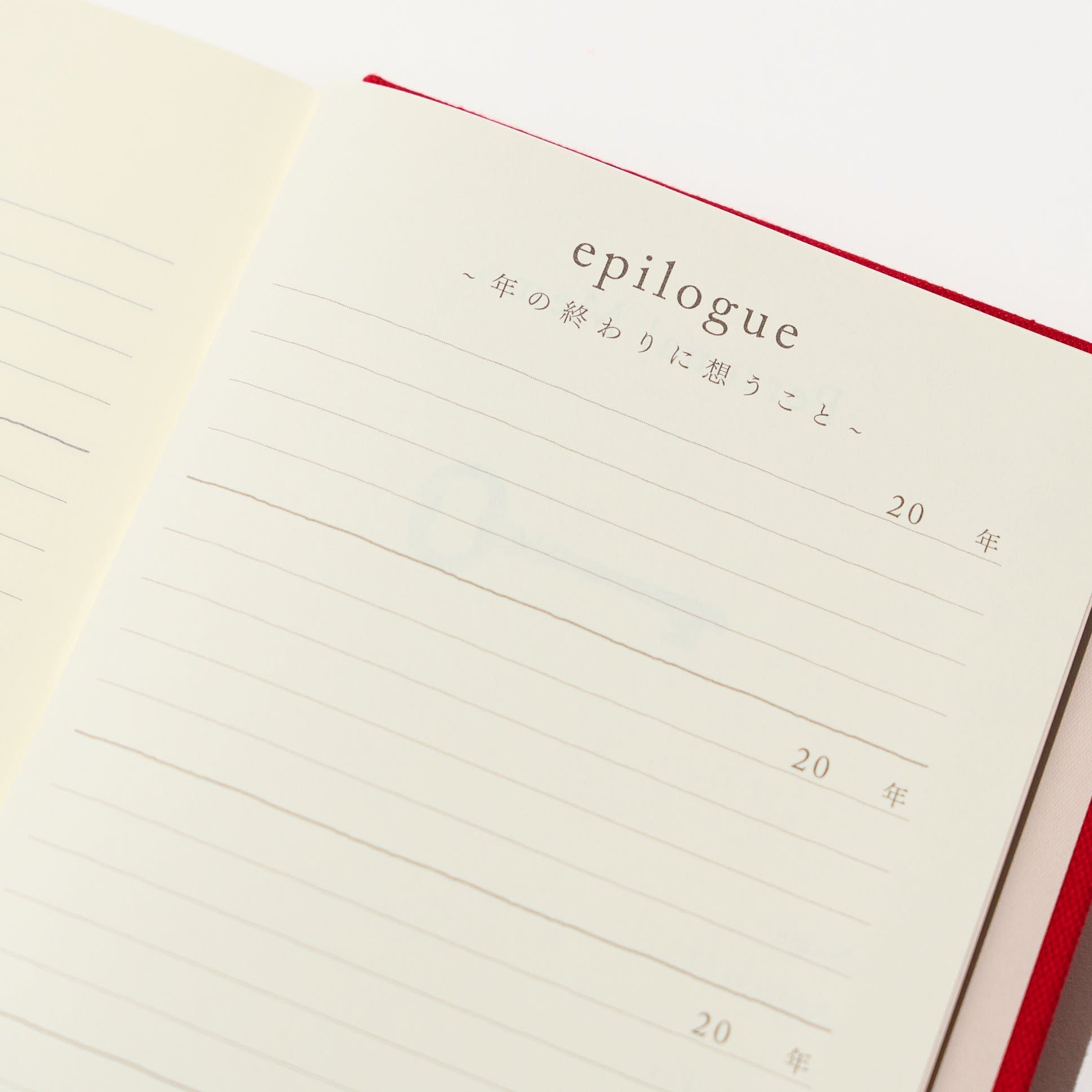 3 and 5 Year "Door" Series Diary / MIDORI