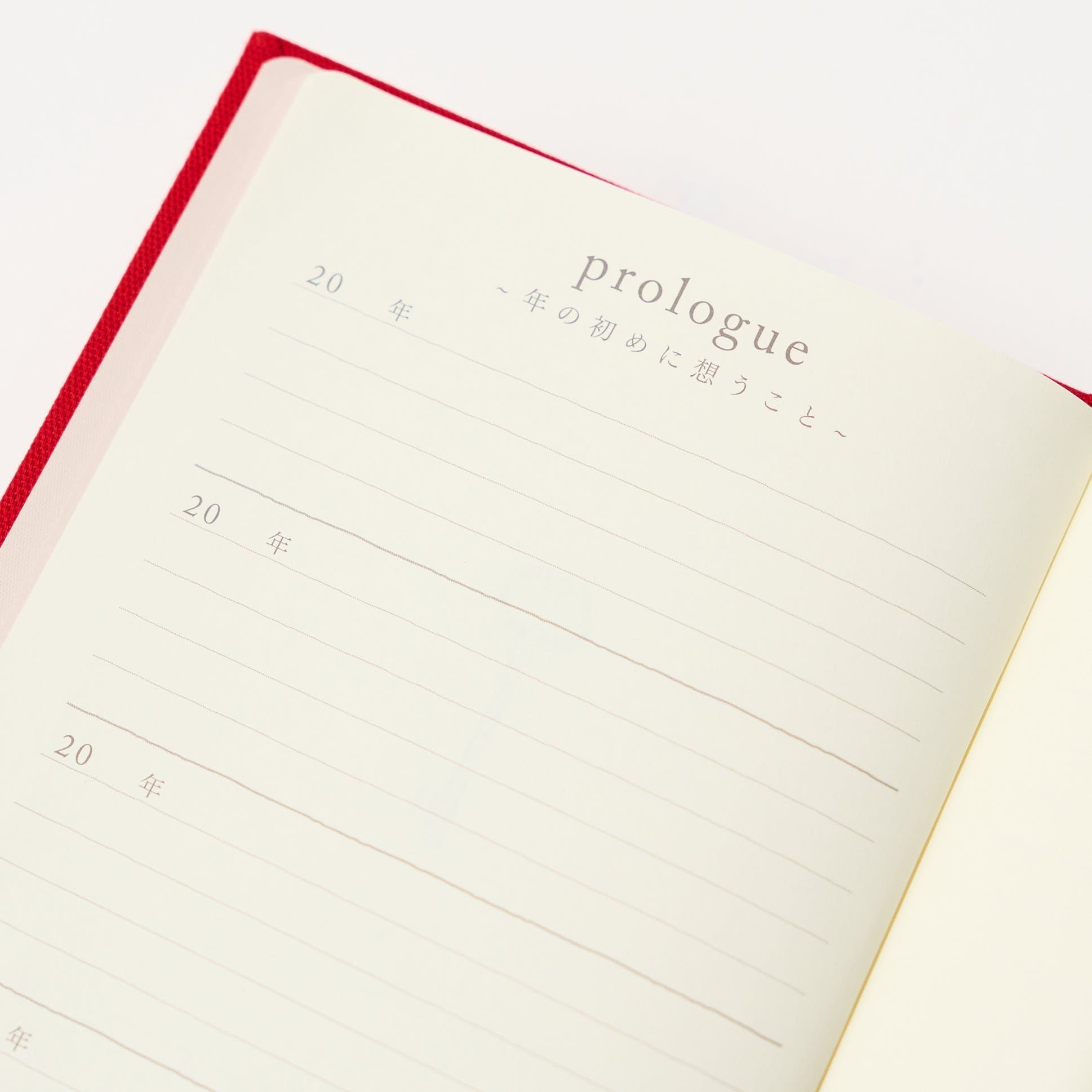 3 and 5 Year "Door" Series Diary / MIDORI