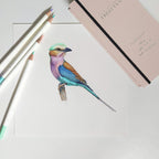 30 Irojiten Colored Pencil Collection Vol. 4, 5, 6 / Tombow