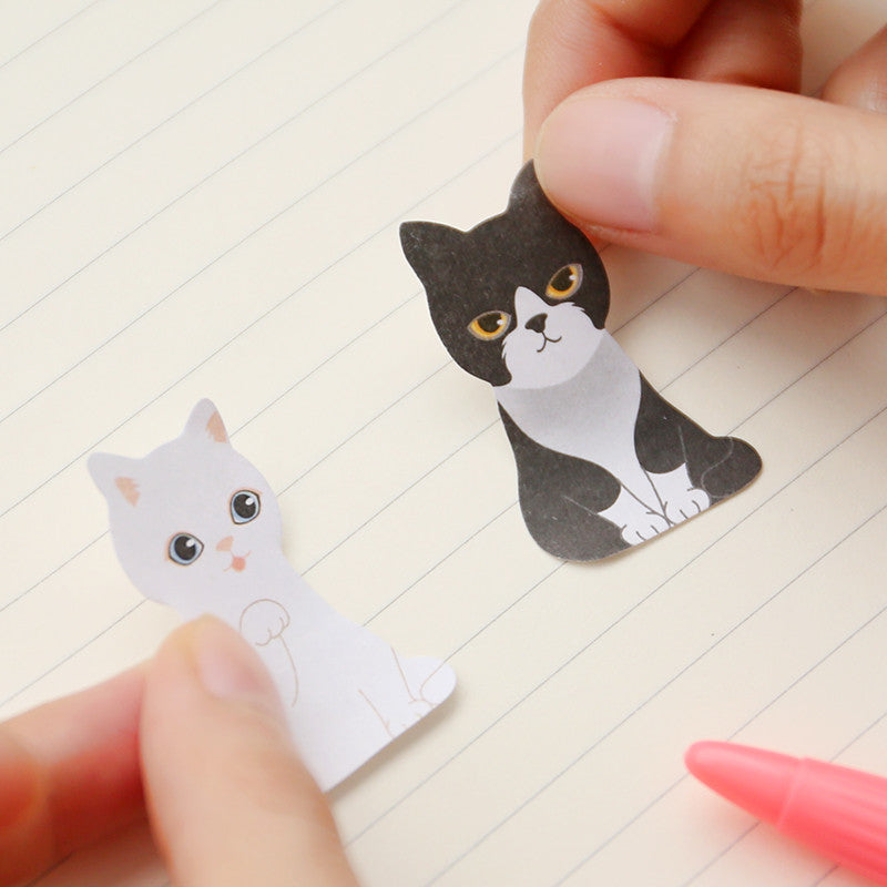 Kitty In A Box Sticky Notes