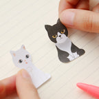 Kitty In A Box Sticky Notes
