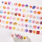 Pre-cut Petal Studio Bundle