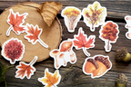 Forest Animals Paper Stickers