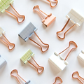 Simple Check Paper Clips