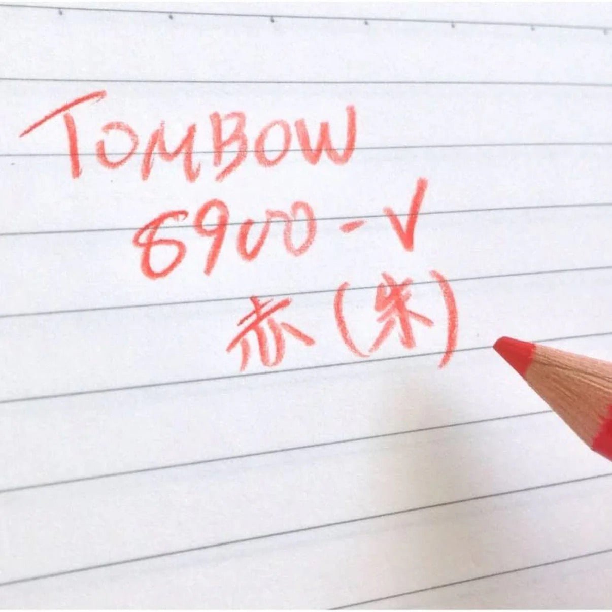 8900 Red & Blue Colored Wooden Pencils 1 Dozen Packs / Tombow