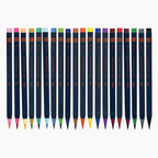 Akashiya Sai Watercolor Brush Pen - 20 Color Set
