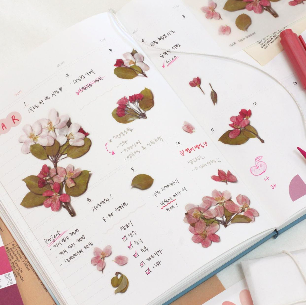 Appree Pressed Flower Stickers - Apple Blossom