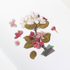 Appree Pressed Flower Stickers - Apple Blossom