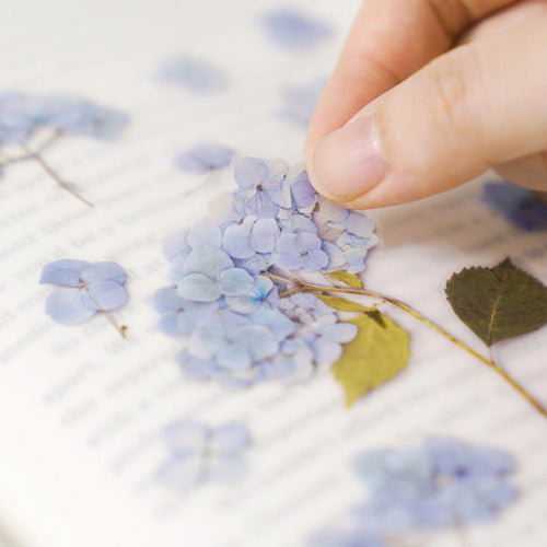 Appree Pressed Flower Stickers - Bigleaf Hydrangea