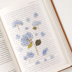 Appree Pressed Flower Stickers - Bigleaf Hydrangea