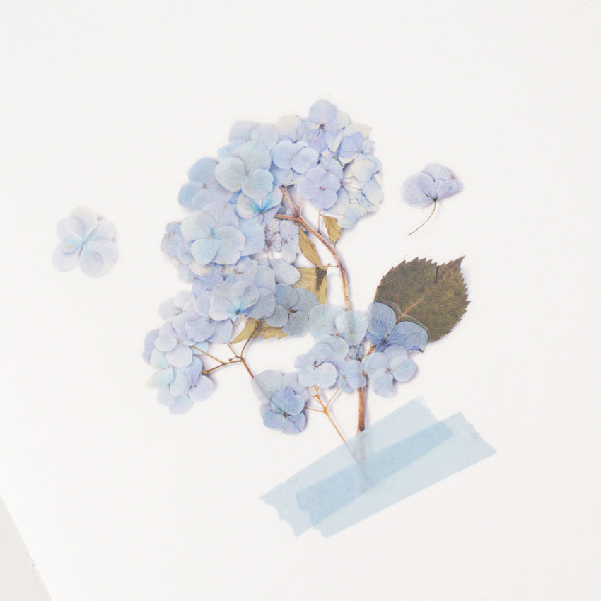Appree Pressed Flower Stickers - Bigleaf Hydrangea