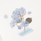 Appree Pressed Flower Stickers - Bigleaf Hydrangea