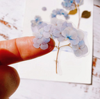 Appree Pressed Flower Stickers - Bigleaf Hydrangea