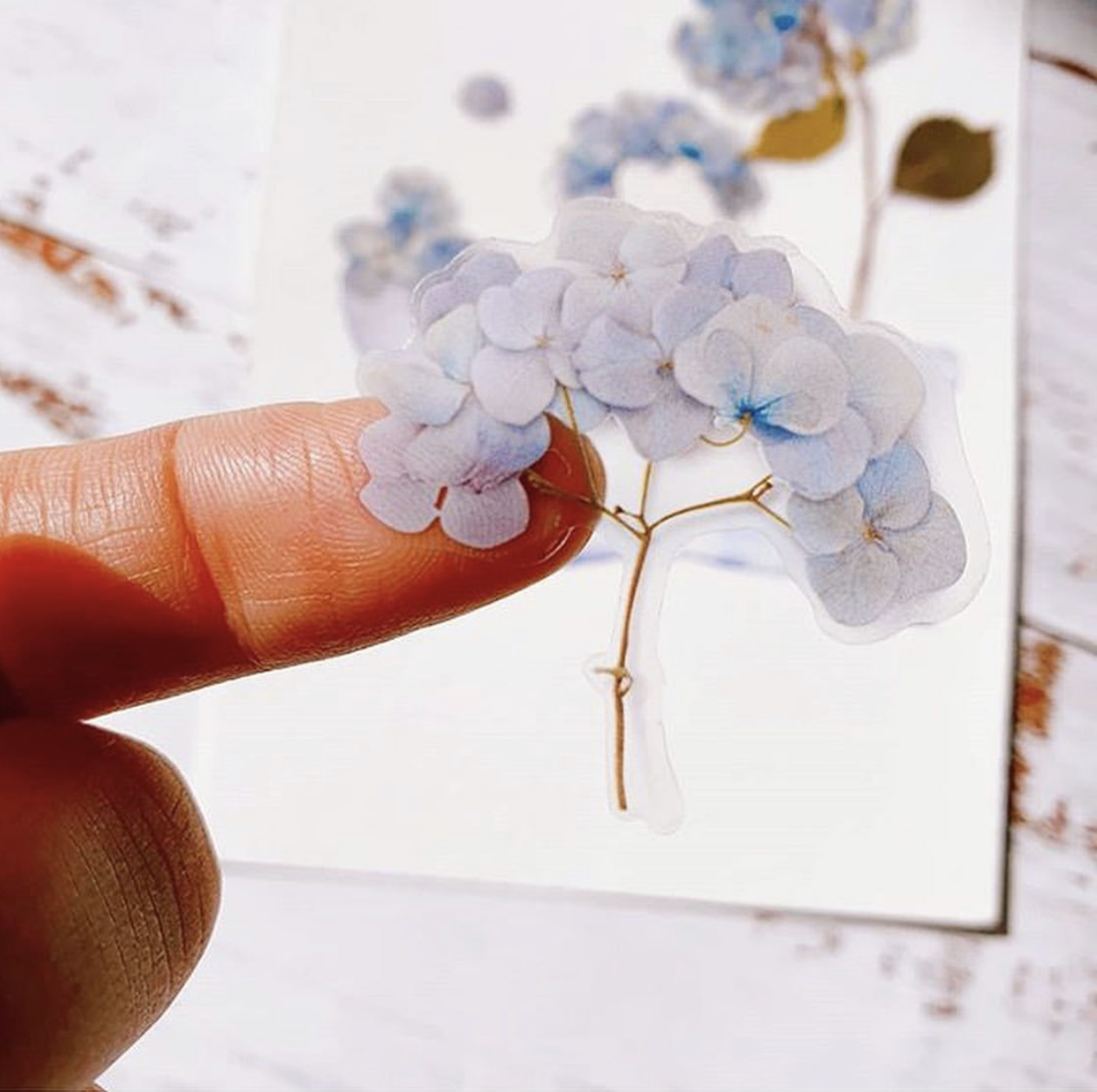 Appree Pressed Flower Stickers - Bigleaf Hydrangea
