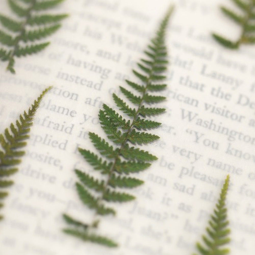 Appree Pressed Flower Stickers - Bracken Fern