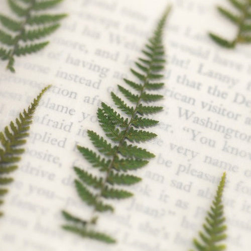 Appree Pressed Flower Stickers - Bracken Fern