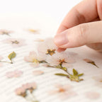 Appree Pressed Flower Stickers - Cherry Blossom