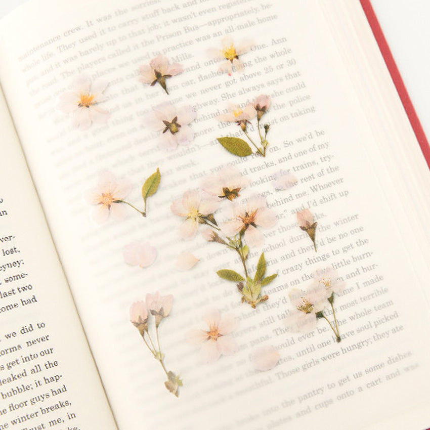 Appree Pressed Flower Stickers - Cherry Blossom