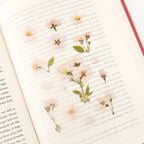 Appree Pressed Flower Stickers - Cherry Blossom