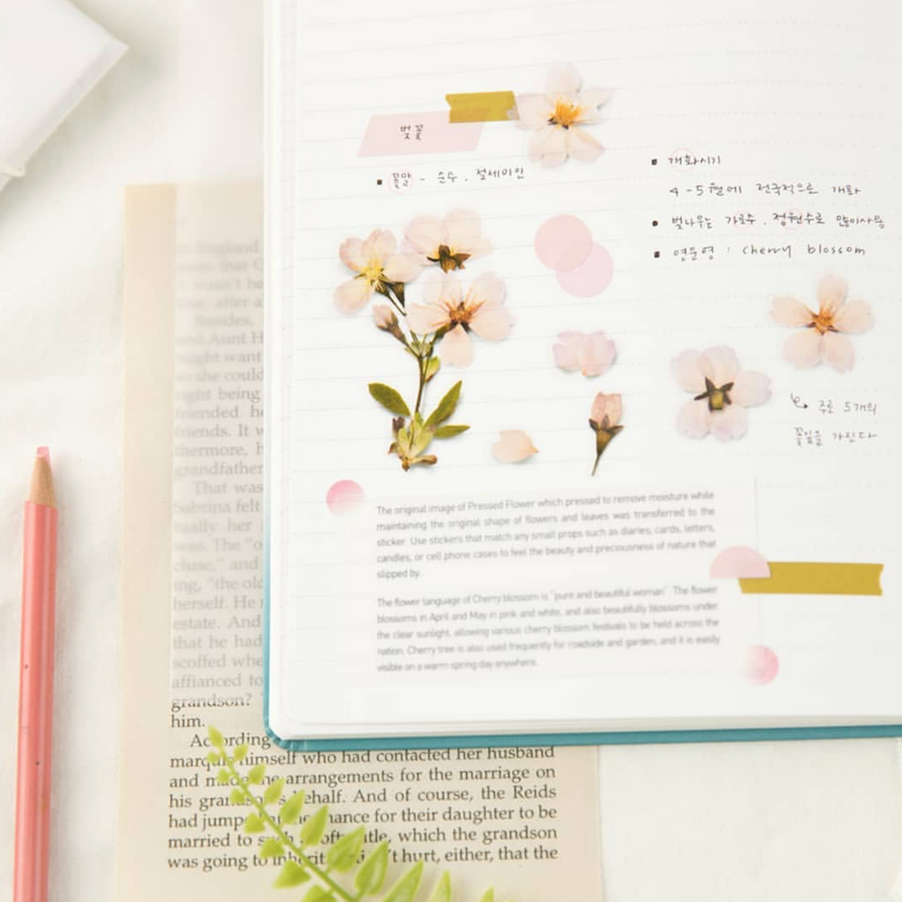 Appree Pressed Flower Stickers - Cherry Blossom