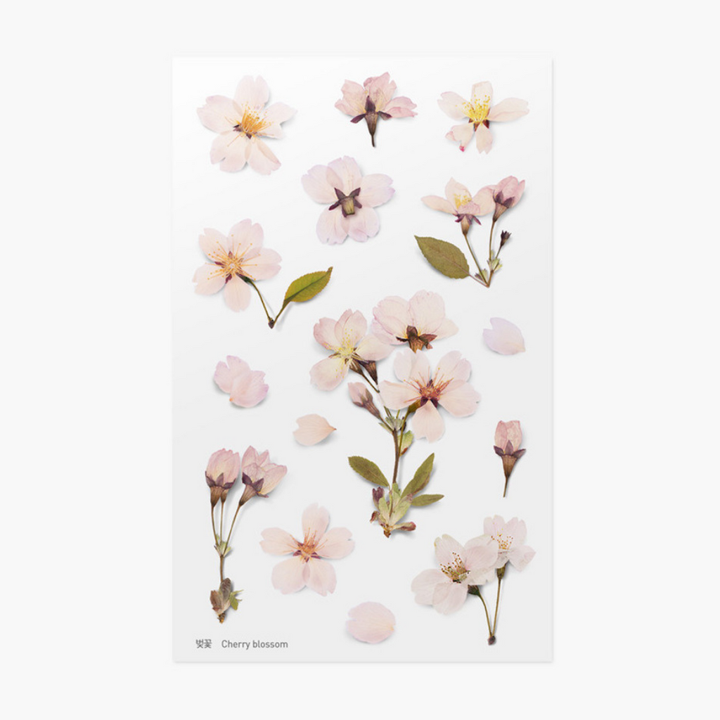 Appree Pressed Flower Stickers - Cherry Blossom
