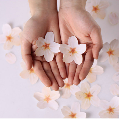 Appree Leaf Sticky Memo Notes - White Cherry Blossom