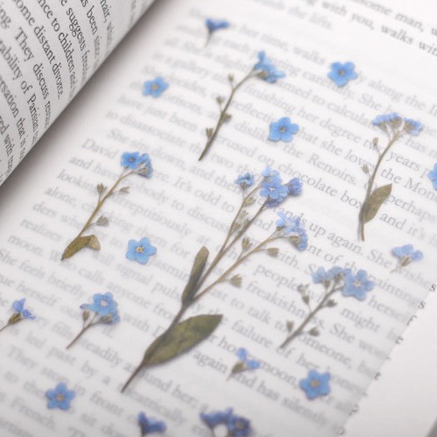 Appree Pressed Flower Stickers - Forget-me-not