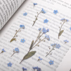 Appree Pressed Flower Stickers - Forget-me-not