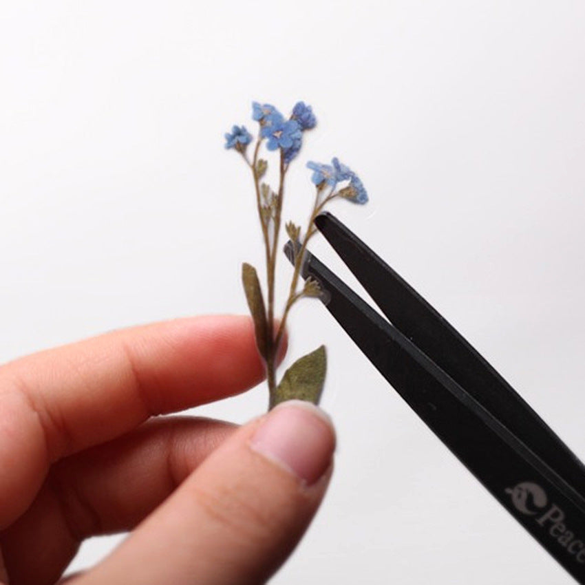 Appree Pressed Flower Stickers - Forget-me-not