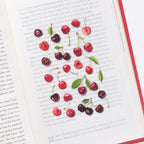 Appree Fruit Sticker - Cherry