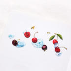 Appree Fruit Sticker - Cherry