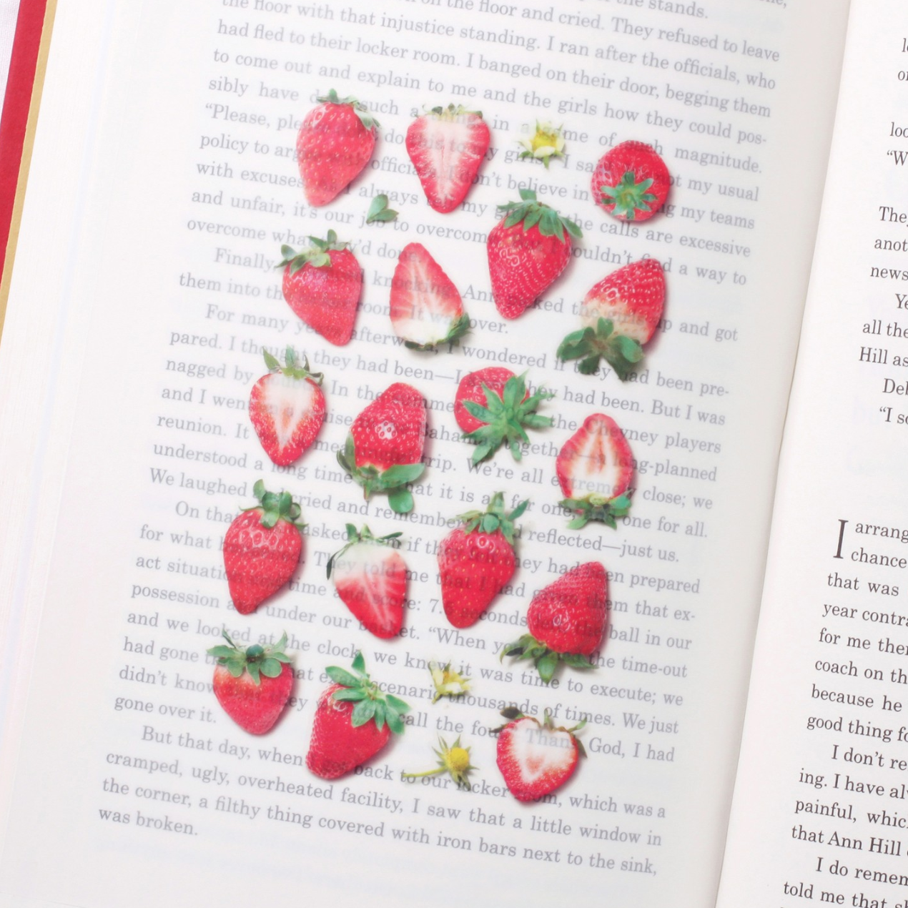 Appree Fruit Sticker - Strawberry