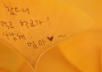 Appree Leaf Sticky Memo Notes - Yellow Ginkgo