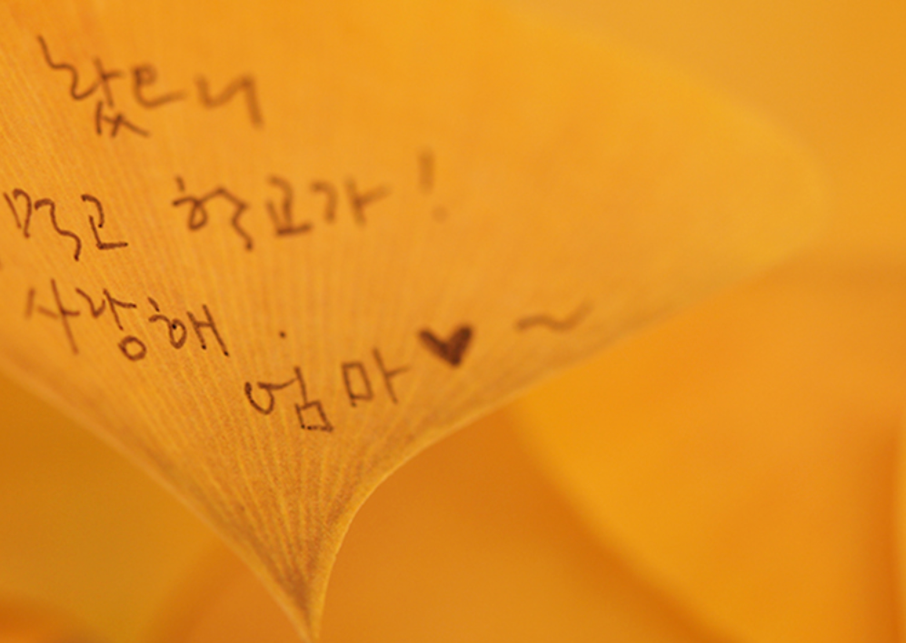 Appree Leaf Sticky Memo Notes - Yellow Ginkgo