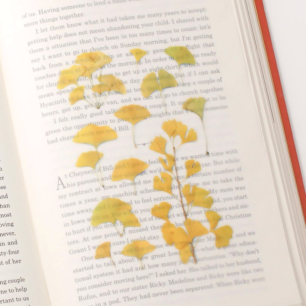 Appree Pressed Flower Stickers - Ginkgo