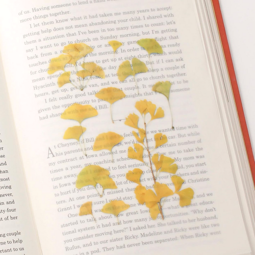 Appree Pressed Flower Stickers - Ginkgo