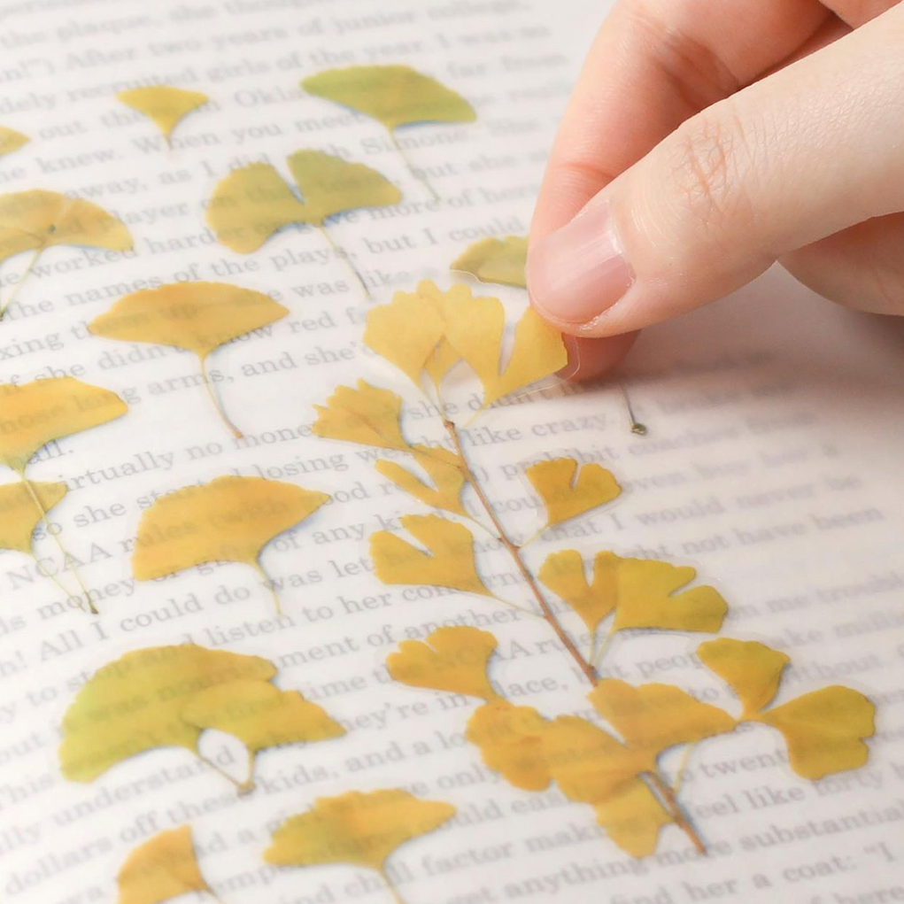 Appree Pressed Flower Stickers - Ginkgo