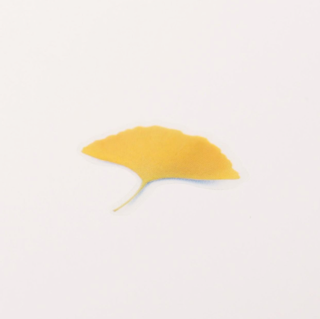 Appree Pressed Flower Stickers - Ginkgo