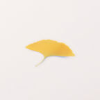 Appree Pressed Flower Stickers - Ginkgo