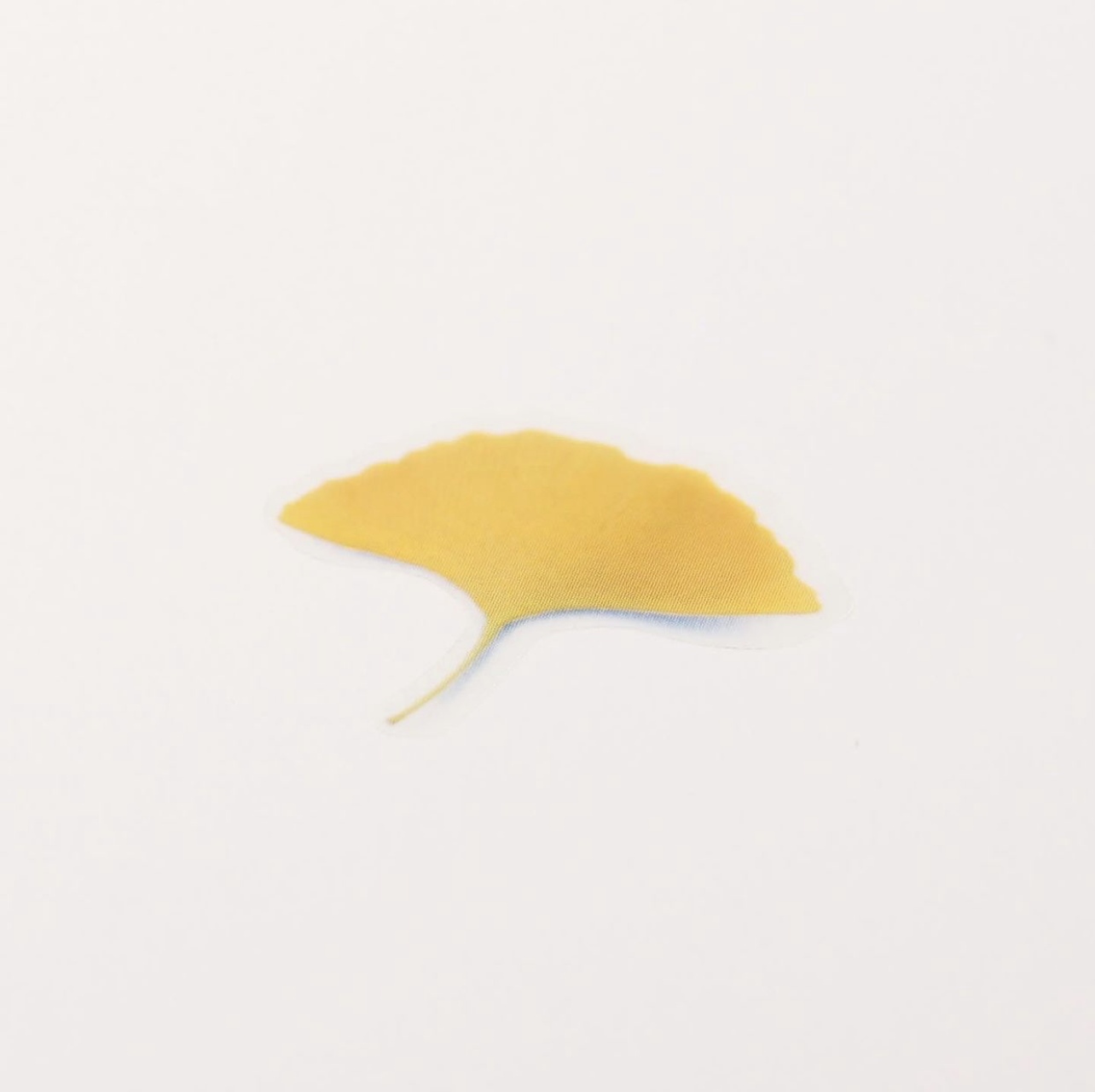 Appree Pressed Flower Stickers - Ginkgo