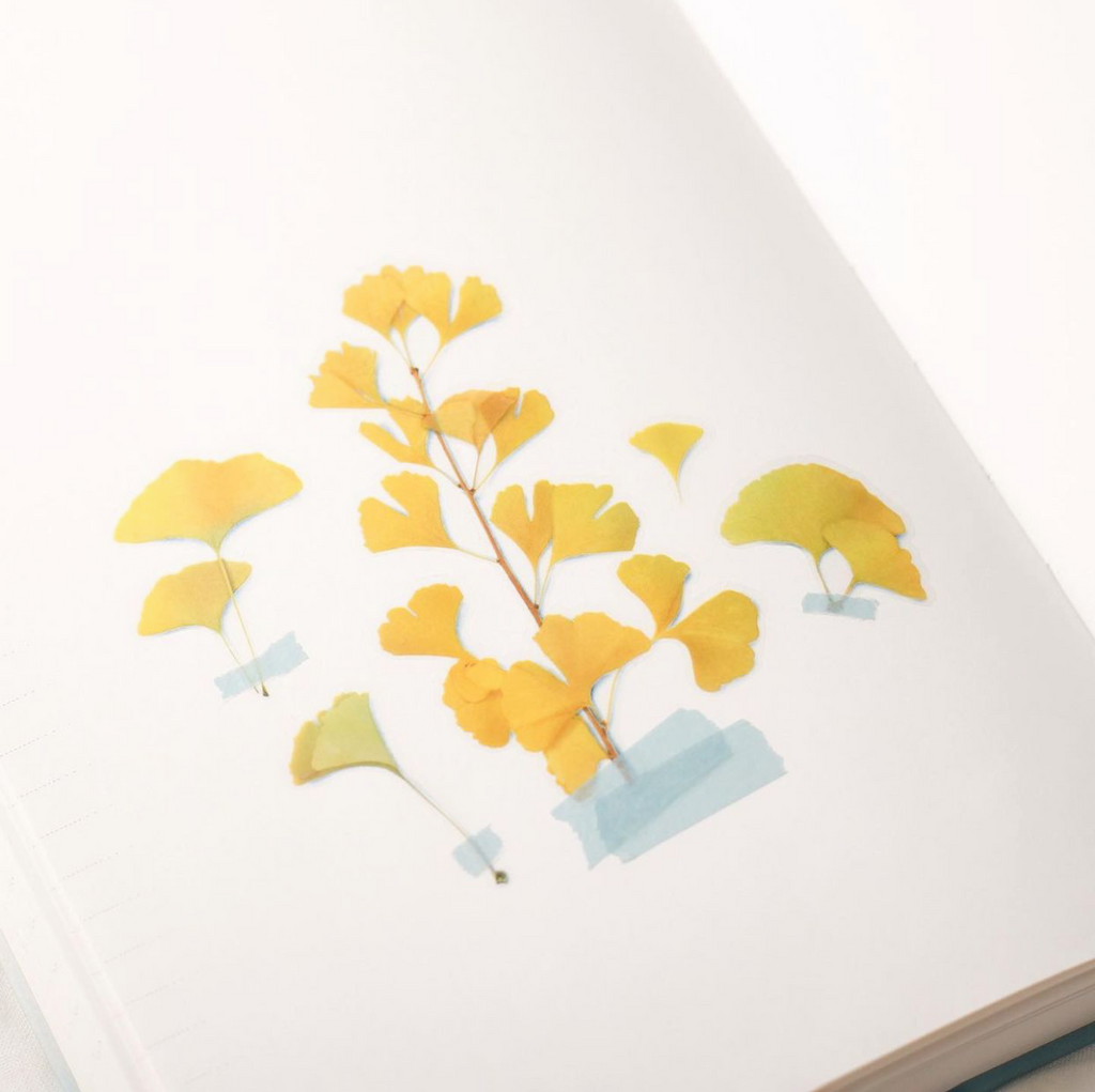 Appree Pressed Flower Stickers - Ginkgo