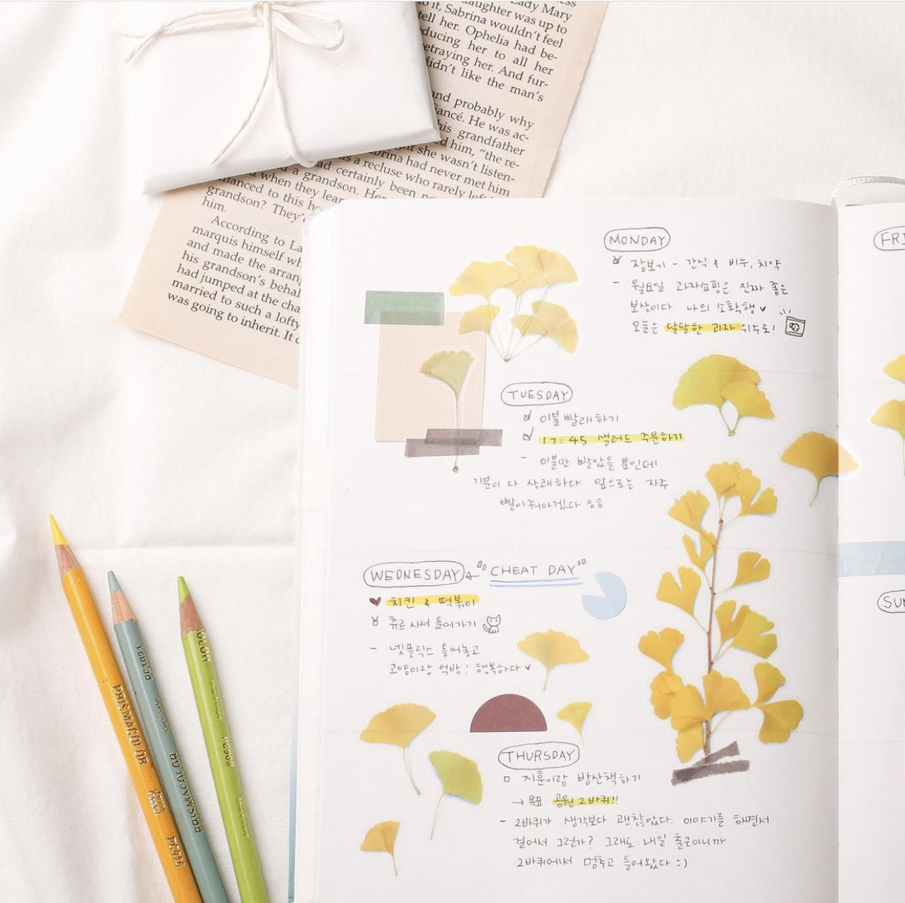 Appree Pressed Flower Stickers - Ginkgo