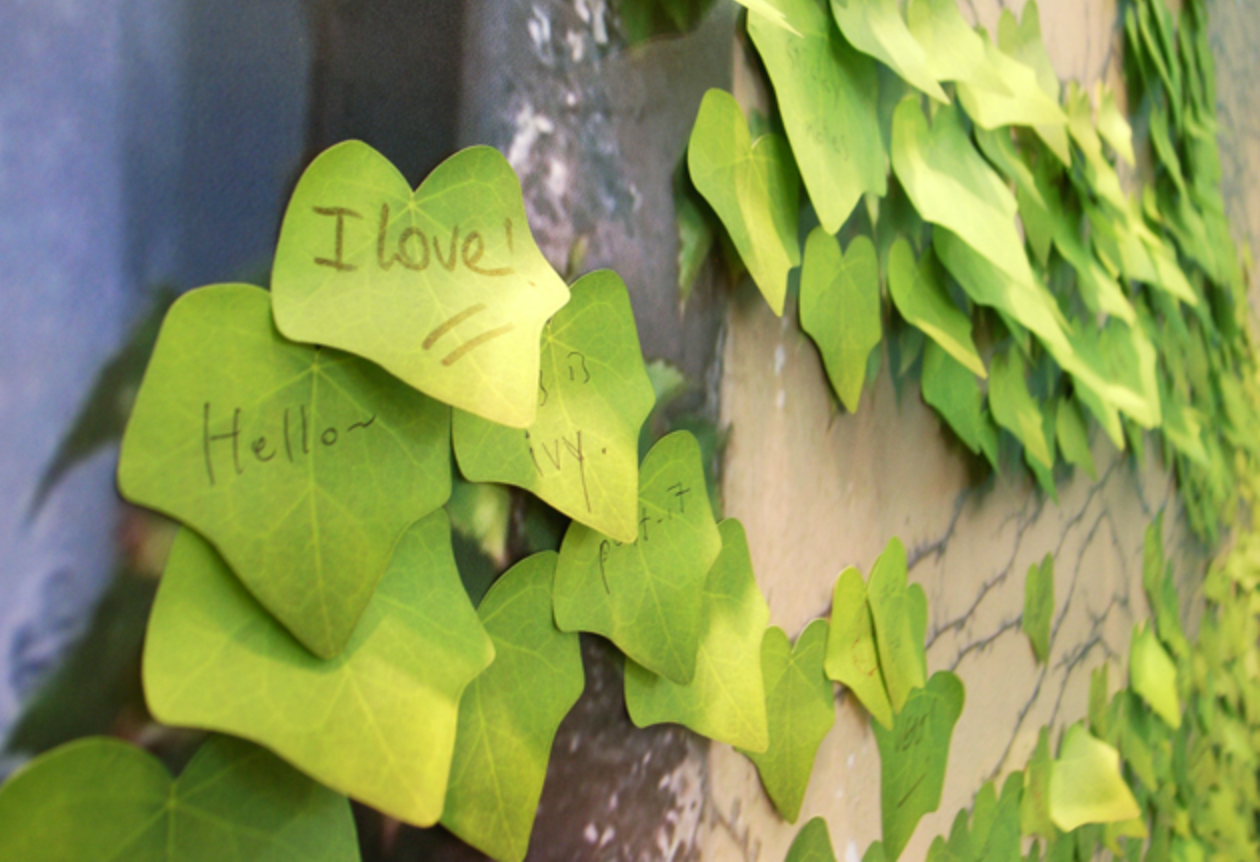 Appree Leaf Sticky Memo Notes - Green Ivy
